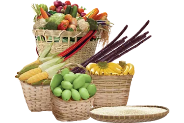 foods image
